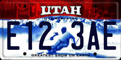 UT license plate E123AE
