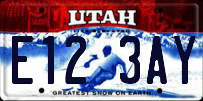 UT license plate E123AY