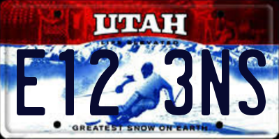 UT license plate E123NS