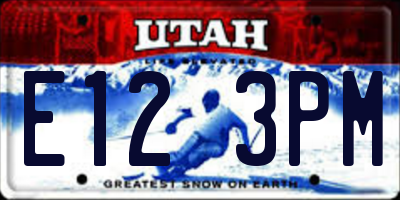 UT license plate E123PM