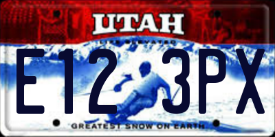 UT license plate E123PX