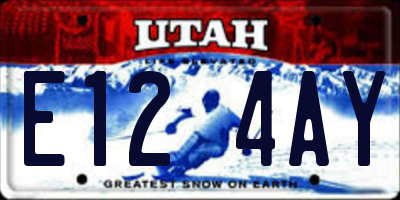 UT license plate E124AY