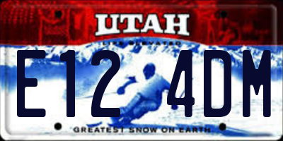 UT license plate E124DM