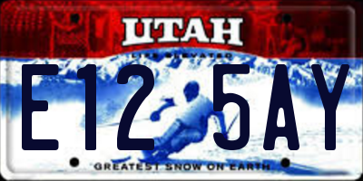 UT license plate E125AY