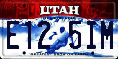 UT license plate E125IM