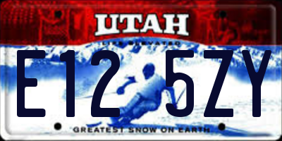 UT license plate E125ZY