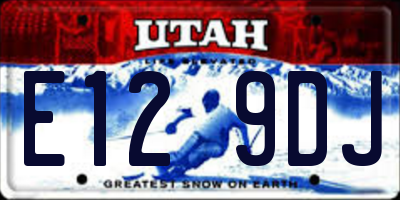 UT license plate E129DJ