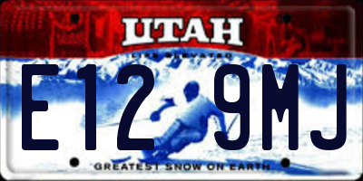 UT license plate E129MJ