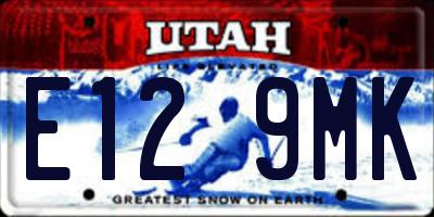 UT license plate E129MK