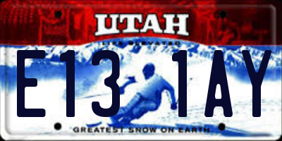 UT license plate E131AY