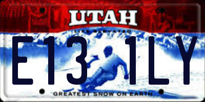 UT license plate E131LY