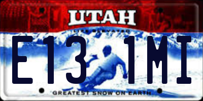 UT license plate E131MI