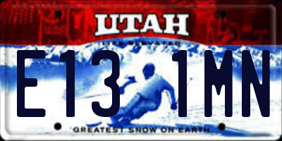 UT license plate E131MN