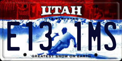 UT license plate E131MS