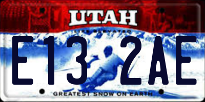 UT license plate E132AE