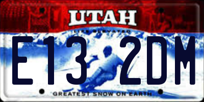 UT license plate E132DM