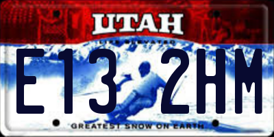UT license plate E132HM