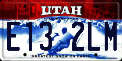 UT license plate E132LM