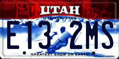 UT license plate E132MS