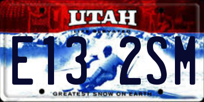 UT license plate E132SM
