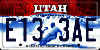 UT license plate E133AE