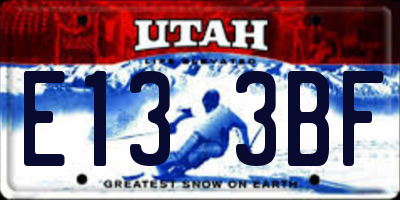 UT license plate E133BF