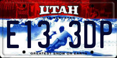 UT license plate E133DP
