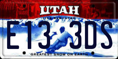 UT license plate E133DS