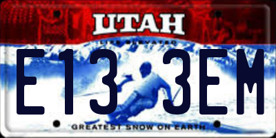 UT license plate E133EM