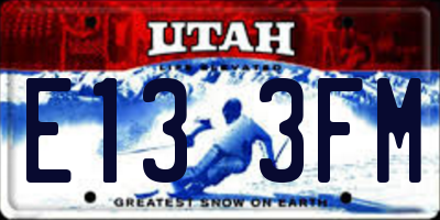 UT license plate E133FM