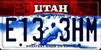 UT license plate E133HM