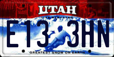 UT license plate E133HN