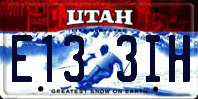 UT license plate E133IH