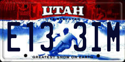 UT license plate E133IM
