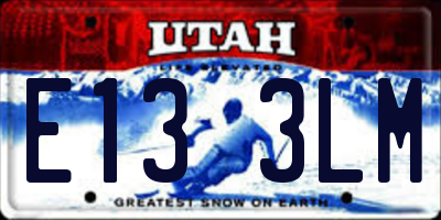 UT license plate E133LM