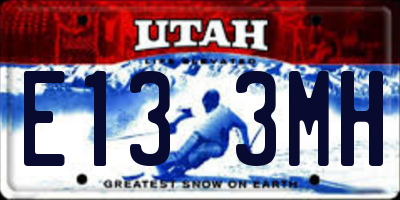 UT license plate E133MH