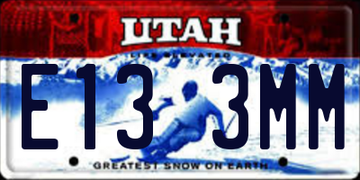 UT license plate E133MM