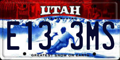UT license plate E133MS