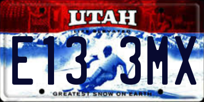 UT license plate E133MX