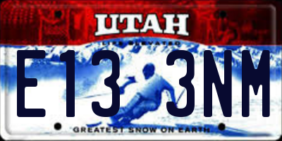 UT license plate E133NM