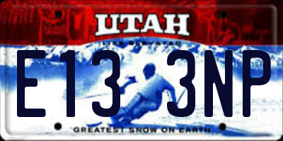UT license plate E133NP