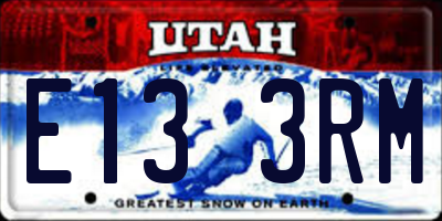 UT license plate E133RM