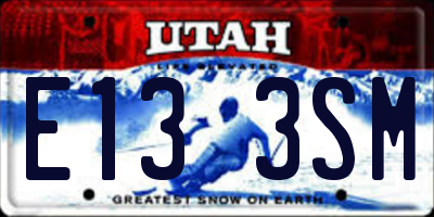 UT license plate E133SM