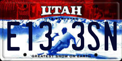 UT license plate E133SN