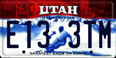 UT license plate E133TM