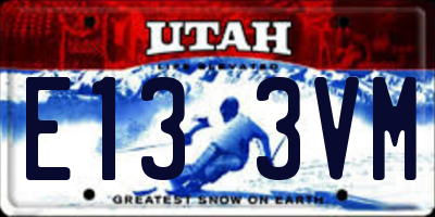 UT license plate E133VM