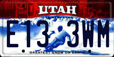 UT license plate E133WM