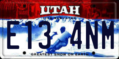 UT license plate E134NM