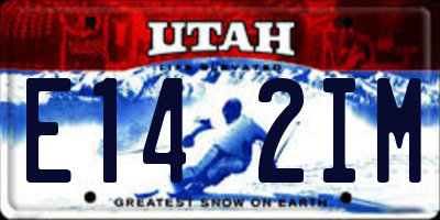 UT license plate E142IM