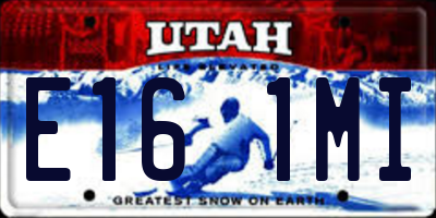 UT license plate E161MI